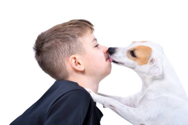 Beyaz arka planda izole edilmiş bir köpek tarafından yalanan sevimli bir çocuğun portresi.