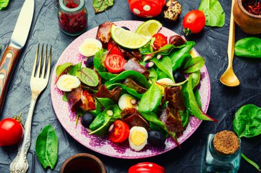 Taze otlu, çiğ sebzeli ve pastırmalı iştah açıcı salata.