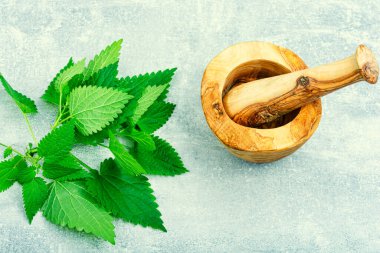 Taze ısırgan otu sürüsü ve arka planda ahşap bir havan topu. Bitkisel ilaçlar, iyileştirme.