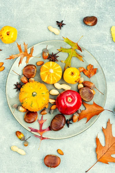 Sonbahar Meyveli Elmalı Fındıklı Kabak Yaklaş Sonbahar Durgun Hayat Kabakları — Stok fotoğraf
