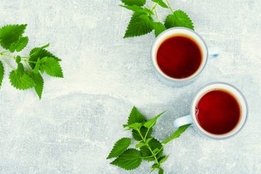Bitki ilacı, taze ısırgan otu yapraklı tıbbi çay. Boşluğu kopyala