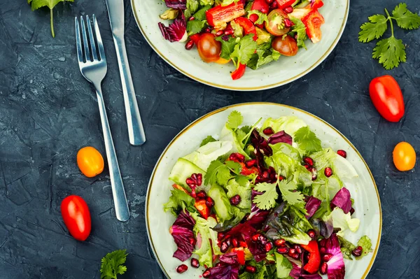Gezonde Salade Met Groente Peper Radicchio Komkommer Versierd Met Granaatappel — Stockfoto