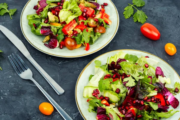 緑とビタミンサラダ コショウ 赤レタスとキュウリ ザクロで飾られた 食事メニュー — ストック写真