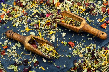 Sağlıklı bitkilerle birlikte bitki çayı. Doğal bitkisel ilaçlar