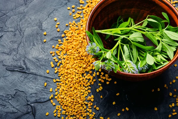 Fenugreek Spice Alternative Medicine Homeopathic Herbs — Stock Photo, Image