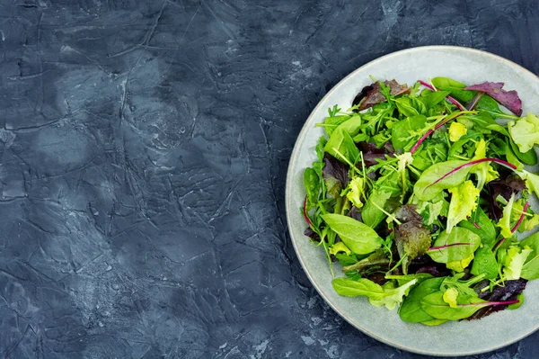 Mélange Feuilles Salade Fraîches Dans Assiette Aliments Verts — Photo