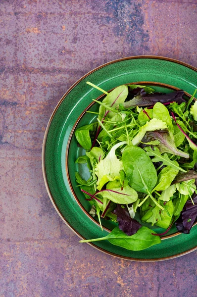 Talíři Smícháme Čerstvé Salátové Listy Zdravé Jídlo — Stock fotografie