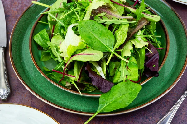 Ανάμεικτα Φρέσκα Φύλλα Σαλάτας Στο Πιάτο Έννοια Υγιεινής Διατροφής — Φωτογραφία Αρχείου