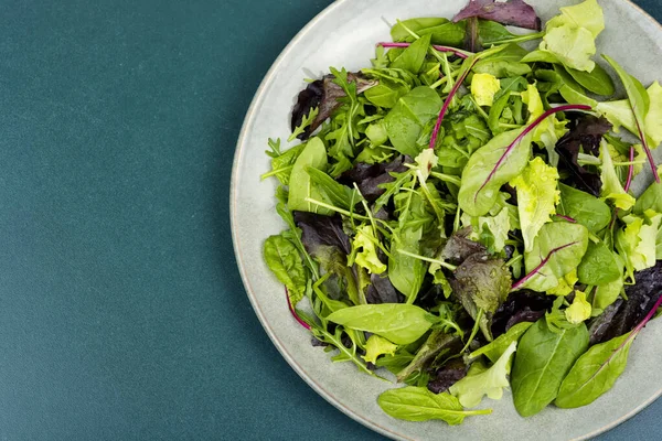 Friss Salátalevelek Keveréke Tányéron Zöld Élelmiszer — Stock Fotó