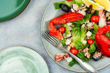 Appetizing salad of oysters, mussels, lobster and vegetables. Fresh seafood recipe