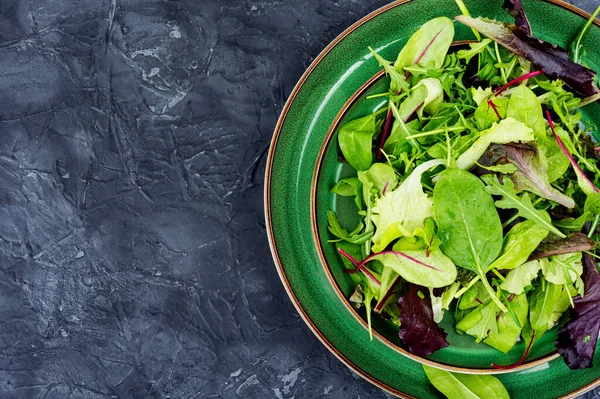 Mix Fresh Salad Leaves Plate Green Food — Stockfoto