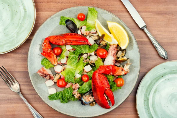 Appetizing Salad Oysters Mussels Lobster Vegetables — Stock Photo, Image