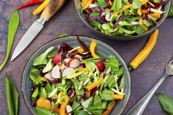 Savoureuse Salade Verte Printemps Aux Légumes Poireau Ours Ail Sauvage — Photo