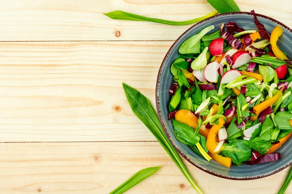 Vitamine Lente Groene Salade Met Groenten Berenprei Wilde Knoflook Kopieerruimte — Stockfoto