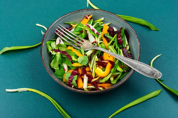 Čerstvý Jarní Salát Zeleninou Ředkvičkami Ramsonem Talíři Zdravé Veganské Jídlo — Stock fotografie