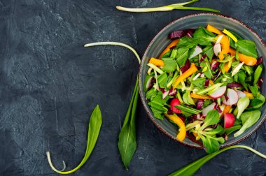 Sebzeli, pırasalı ya da yabani sarımsaklı yeşil vitamin salatası.