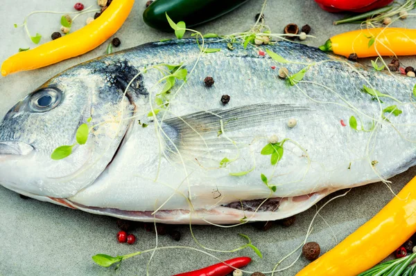 Uncooked Dorado Fish Herbs Raw Sea Bream Close — Stock Photo, Image