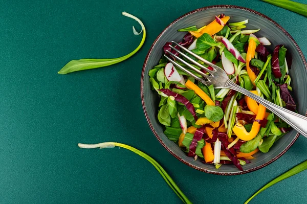 Vitamin Spring Green Salad Vegetables Bear Leek Wild Garlic Space — Stock Photo, Image