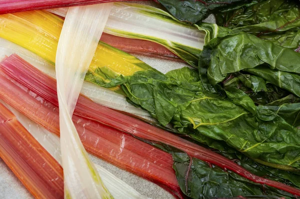 stock image Tasty stewed colorful chard on a plate. Sauteed swiss chard. Close up