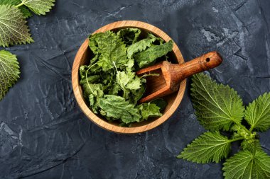 Masada taze ve kurutulmuş ısırgan otu yaprakları var. İlaç fabrikası.