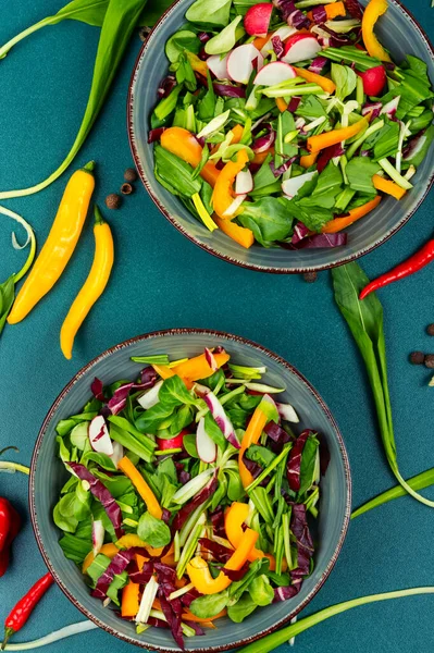 Zelený Salát Zeleninou Medvědí Pórek Vegetariánské Jídlo Pestrobarevný Oběd — Stock fotografie