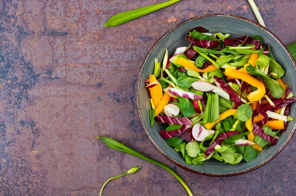 Savoureuse Salade Crue Printemps Aux Légumes Poireau Ours Ail Sauvage — Photo