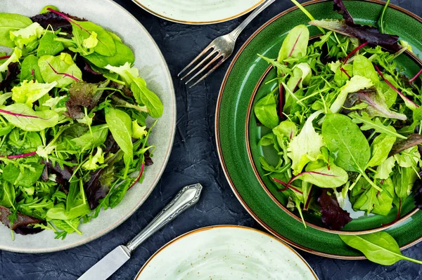 Salad Sehat Musim Semi Hijau Piring Daun Campuran Salad Tampilan — Stok Foto