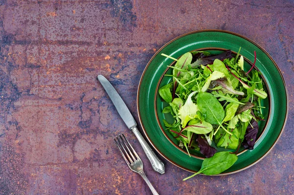 Salat Mit Frühlingsgemüse Auf Einem Teller Grüne Lebensmittel Raum Für — Stockfoto