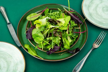 Tabakta yeşil salata salatası. Yeşil yemek..