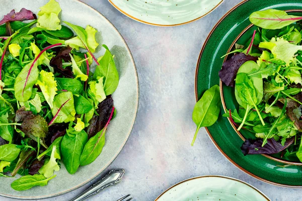 Frischer Kräutersalat Mit Frühlingsgemüse Auf Einem Teller Blätter Mischen Salat — Stockfoto