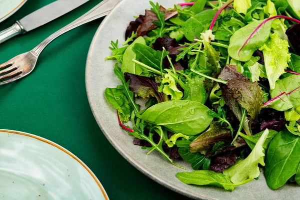 Salat Mit Frühlingsgemüse Auf Einem Teller Grüne Vegetarische Kost — Stockfoto
