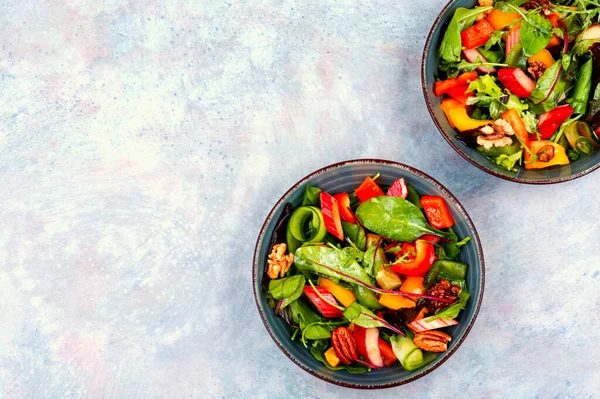 Vegetable Salad Sweet Pepper Rhubarb Herbs Copy Space — Stock Photo, Image
