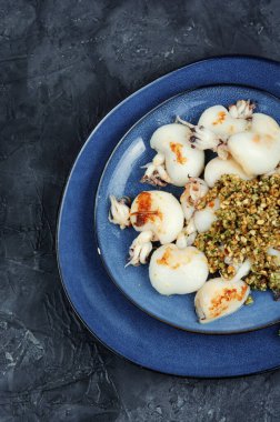 Fındık salatasıyla servis edilen pişmiş taze mürekkep balıkları. Barbekü..