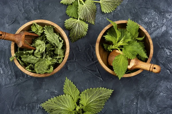 Taze ve kurumuş ısırgan otu yaprakları ve masada ahşap kaşık. İlaç fabrikası.
