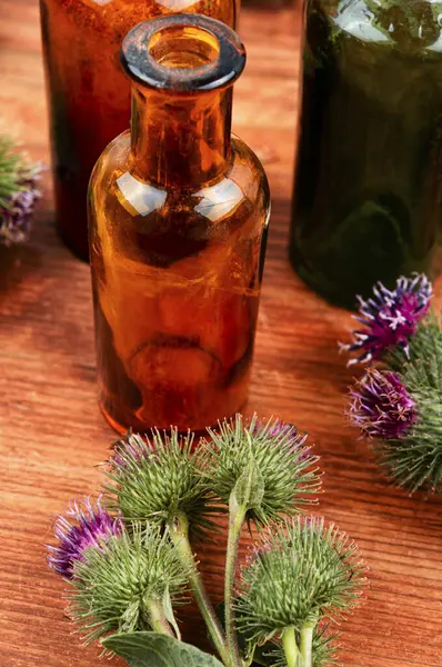 Healing plant burdock with flowers and small glass bottle, herbal medicine