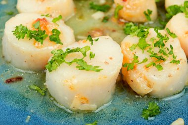 Kızarmış deniz tarağı, yeşil ızgara deniz tarağı ve kremalı sos. Yakın çekim..