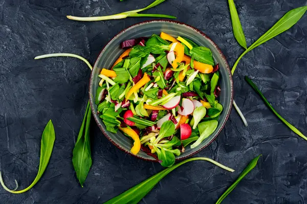 Vitamin Salad Vegetables Fresh Bear Leek Wild Garlic Vegetarian Food — Stock Photo, Image