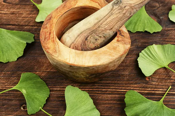 stock image Fresh green leaves ginkgo biloba leaves and mortar on a wooden table. Traditional Chinese medicine. Popular nutritional supplement