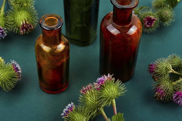 Burdock Plant Small Glass Bottle Tinctures Herbal Medicine — Stock Photo, Image