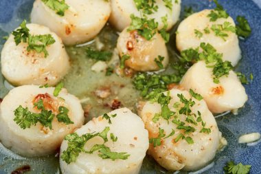 Kızarmış lezzetli deniz tarakları, yeşil tabakta.