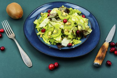 Çiğ kivi salatası, marul, böğürtlen ve çam fıstığı eski seramik tabakta. Keto diyeti, salata tabağı.