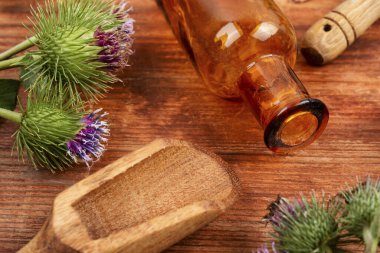 Çiçekli burdock bitkisi, bitkisel ilaç. Süt devedikeni. Çin bitkisel ilaçları..