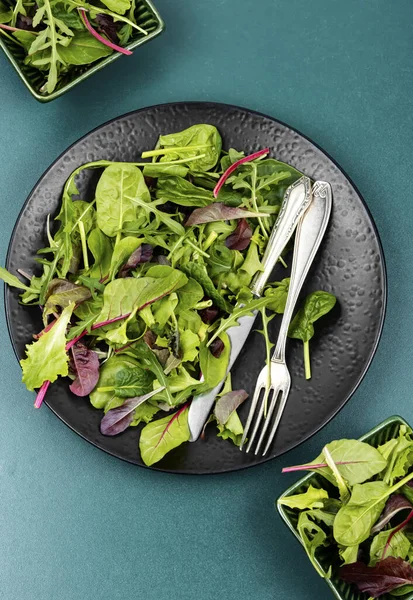 Green Vegan Salad Made Mixed Green Leaves Green Food Top — Stock Photo, Image