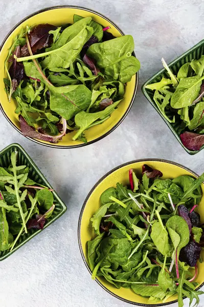 Salat Friske Foråret Greens Urter Tallerken Sund Mad - Stock-foto