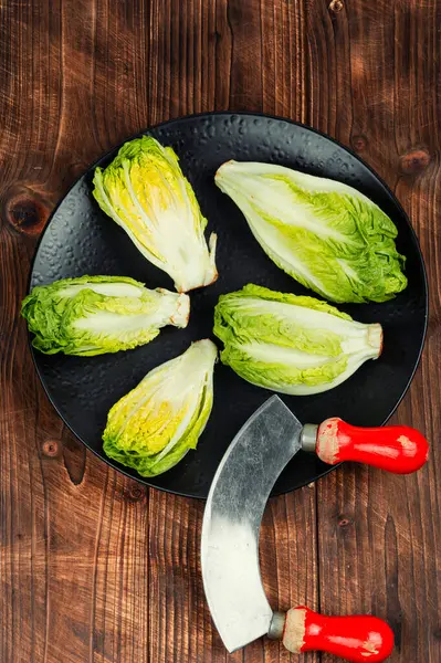 Frischer Grüner Romaine Salat Mini Römersalat Auf Rustikalem Holztisch — Stockfoto