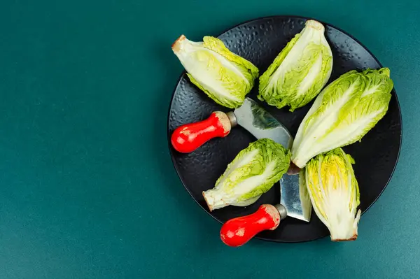 Frisch Grüne Romaine Salatherzen Oder Lactuca Sativa Kopierraum — Stockfoto