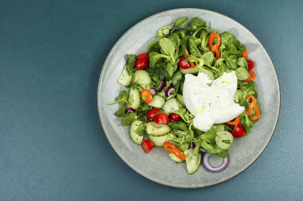 Vegetable Salad Leafy Greens Tomatoes Cucumbers Peppers Burrata Cheese Italian Stock Image