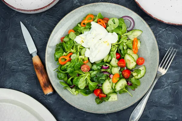 Vegetable Dietary Salad Greens Tomatoes Cucumbers Peppers Burrata Cheese Keto 스톡 사진