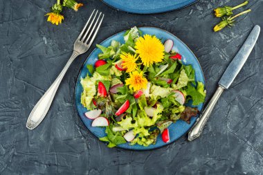 Yeşillik, turp ve karahindiba salatası. Üst görünüm.