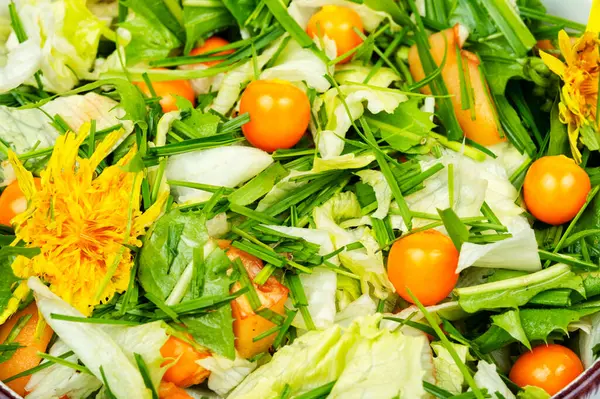 Salada Pratos Simples Saborosos Plantas Comestíveis Selvagens Salada Vitaminas Frescas Imagem De Stock